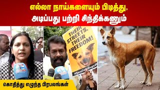 Download Lagu Stray Dogs | எல்லா நாய்களையும் பிடித்து, அடிப்பது பற்றி சிந்திக்கணும் | கொதித்து எழுந்த பிரபலங்கள் MP3 Download Lagu Stray Dogs | எல்லா நாய்களையும் பிடித்து, அடிப்பது பற்றி சிந்திக்கணும் | கொதித்து எழுந்த பிரபலங்கள் MP3