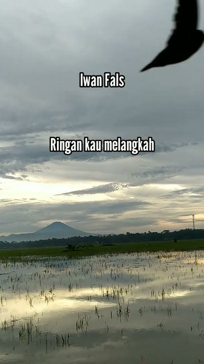 Iwan fals : Condet