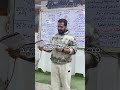  محمد عبدالمجيد