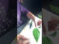 Monday తెచ్చిన కష్టాలు #home #telugucontentcreator #familymoments #kidsfun #athome #homevibes