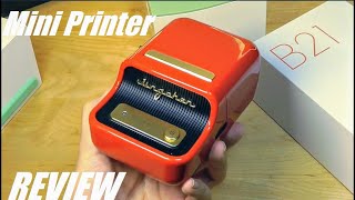 REVIEW: NIIMBOT B21 Inkless Mini Thermal Printer & Label Maker - Retro Design!