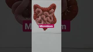 microbiom الميكروبيوم