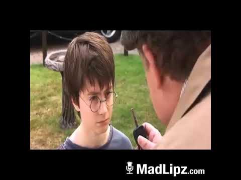 Harry Potter parodie slepous