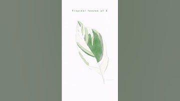 Tropical leaves illustration on procreate | part - 2