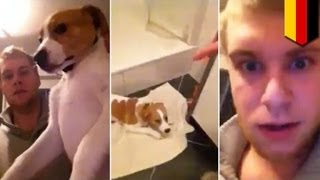 Немец избил щенка, чтобы отомстить своей бывшей(Шокирующее видео, на котором 20-летний немец избил беззащитного щенка, попало в интернет. Как говорят, Том..., 2014-04-14T09:57:26.000Z)