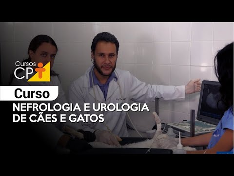 Curso Nefrologia e Urologia de Cães e Gatos