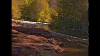 7 minute progressive muscle relaxation