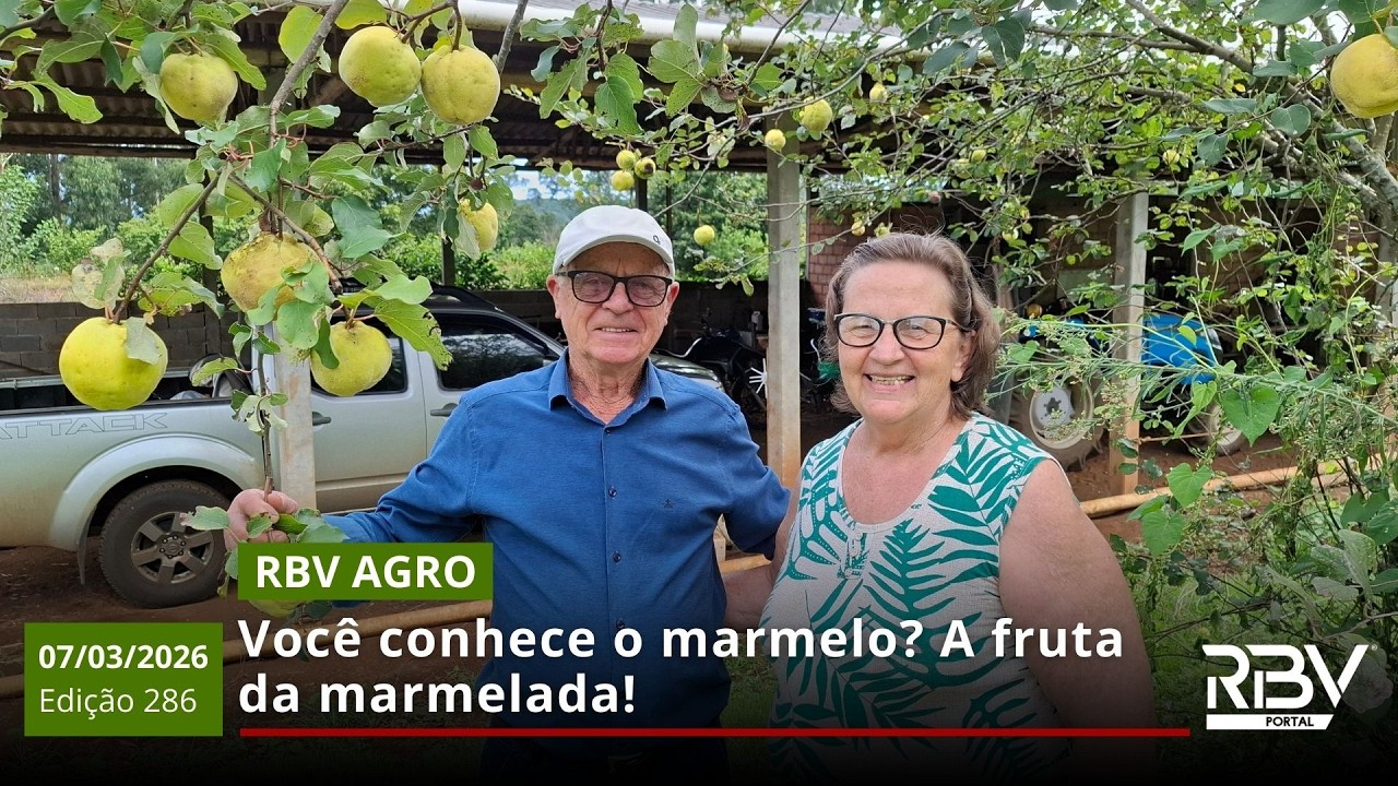 RBV AGRO 286: Você conhece o marmelo? A fruta da marmelada!