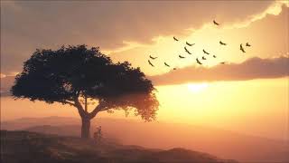 1 Saat Boyunca Yedi Güzel Adam Müzikleri