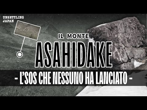 Video: Dog Soccorritore muore inaspettatamente, lasciando i suoi 25 cani senior in un disperato bisogno di case