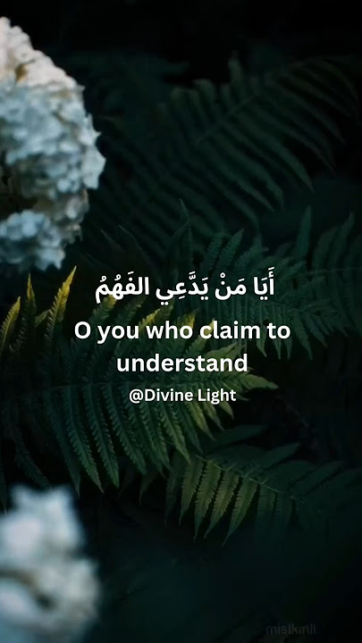 Hasn't death called you? | Nasheed | #alafasy #gaza #quotes #poetry