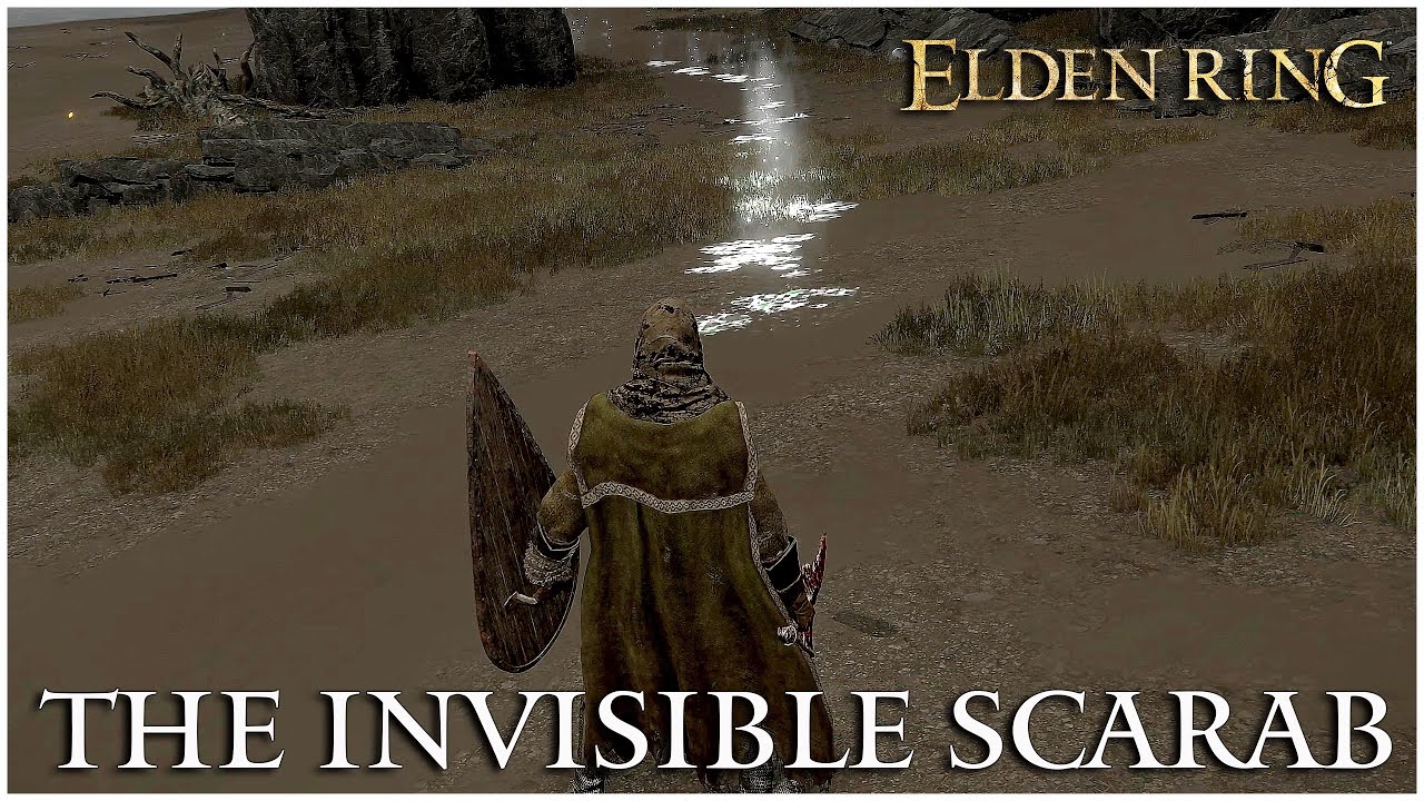 The Invisible Scarab Ash of War Stamp (Sweep) Elden Ring YouTube