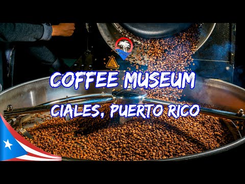 Video: De beste museene i Puerto Rico