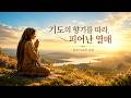 자녀양육의 비밀 한나의기도-기도의 향기를따라 피어난 열매- 흥호리교회칼럼 #한나의기도#성경듣기#말씀듣기