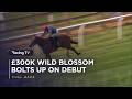 £300K Wild Blossom "surely Royal Ascot bound" after bolting up on debut | Full Race | Racing TV