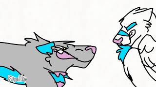 Dixi boy °Rue°PMV