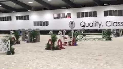 Ferragamo 1.3m jump off 7yo qual Richard Reinhart
