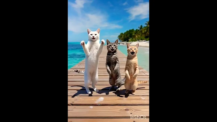 Video 11694551: adorable little kittens, adorable kitten enjoying, little cat funny, cute kittens playing