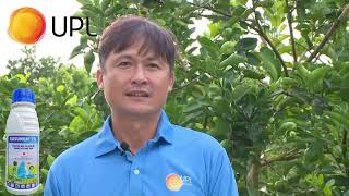 KASUMIN® 2SL – GIẢI PHÁP QUẢN LÝ VI KHUẨN HIỆU QUẢ TRÊN NHIỀU LOẠI CÂY TRỒNG | UPL VIỆT NAM