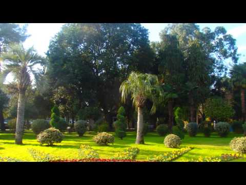 ბათუმი მენატრება