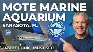 New MOTE SCIENCE EDUCATION AQUARIUM (SEA), What It Means for Sarasota Living | Sarasota Homes Group Net Worth