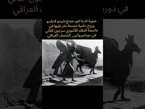 ثور مجنح شيدو لاماسو وروح حامية مجنحة عثر عليها في دورشيروكين المتحف العراقي 