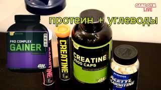 Спортивное притание для ЭНДОМОРФА Спортивное притание для ЭНДОМОРФА