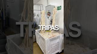 Producción de tripas para embutidos ‼️