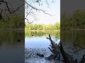 Serene Catawba River
