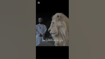 سورة الرعد🤍||#قران_كريم#سورة_الرعد #تلاوة_خاشعة #اكسبلور #طمأنينة