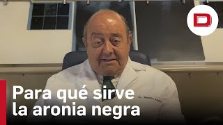 Qué Es La Aronia Negra Y Para Qué Sirve, Con El Doctor Abascal