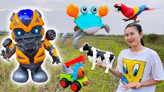 Changcady went to herd cows, found a lot of animal toys, dancing robots - Part 122