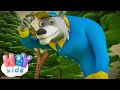 Der Wolf 🐺Kinderlieder zum Mitsingen | KinderliederTV