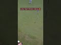 Birdie start for Sergio in Korea! #golf #shorts