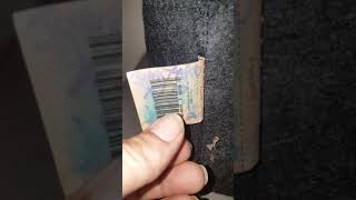 Junkyard 420 100%Sativia Natural Window Grow Clone