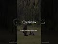 Surah Surah 92 | Salah_Al_Budair Recitation الشيخ صلاح البدير  ️#QuranShorts #قرآن