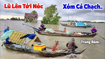 Lũ tràn bờ tới Nóc" cả Xóm CÁ CHẠCH trúng đậm mùa Cá Chạch Đồng 
