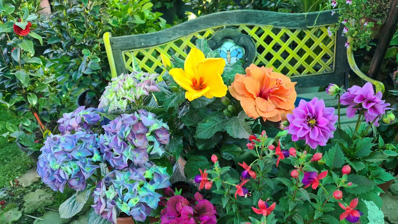 Yıldız Botanik (Hacı Amca'nın Serası)