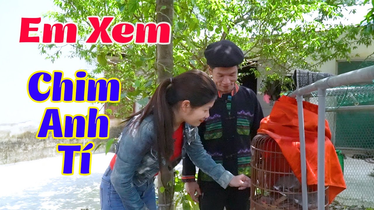 Thích Ch.im Anh Hàng Xóm - Phim Hài A Hy 2022 Hay Mới Nhất Cười Vỡ Mồm - Hài A Hy Ai Cũng Thích Xem - YouTube
