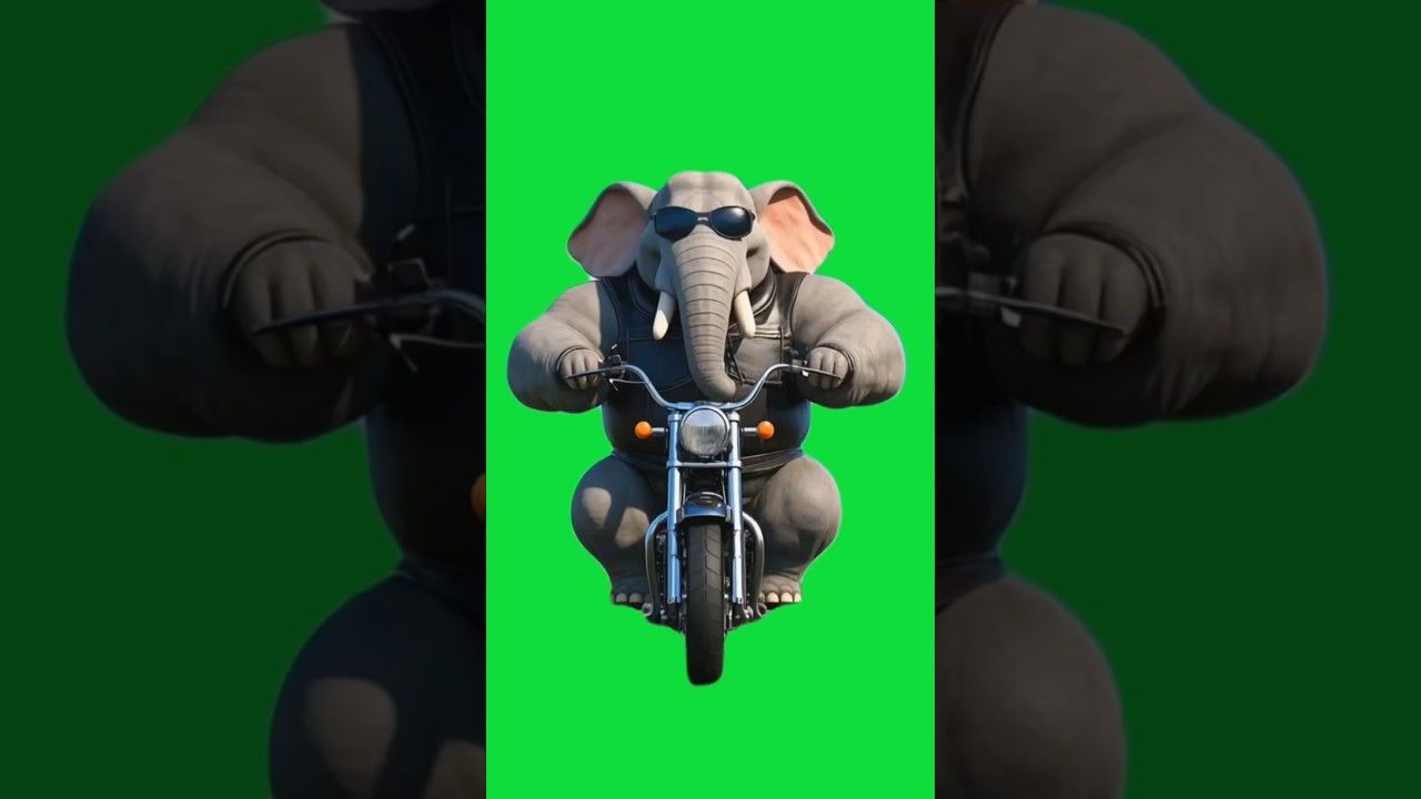 Elephant On Bike | Green Screen Elephant Video | 