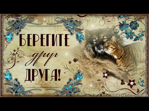 БЕРЕГИТЕ друг друга, цените, уважайте и будьте добрей!