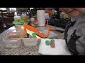 Five Below Unbelievable Science Kit Hatching Lizards! 🦎