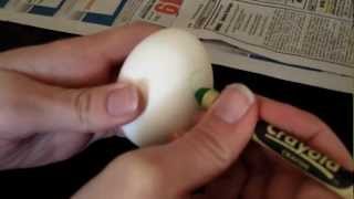 Celebrity DIY: Make your own polka-dotted Easter eggs Wealth