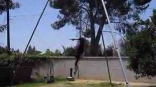 Aerial Rigging