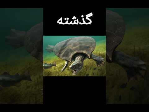 حیواناتی در گذشته زندگی میکردند که تقریبا بیشتر آنها منقرض شده اما بعضی از این نسل ها هنوز زنده هستن