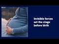 5.6 Your Gender May Be Influenced Before You’re Born | fraternal birth effect | sexuality
