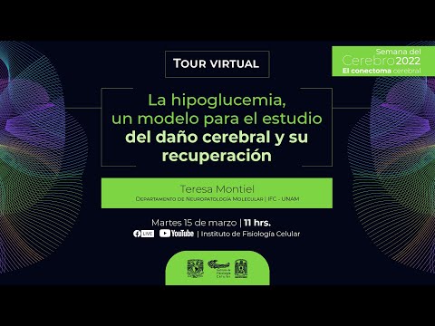 Video: ¿La hipoglucemia puede causar daño cerebral?