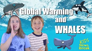 Climate change and whales - Kids News Break