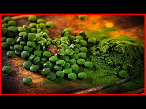 Chlorella Emagrece ou Engorda? 80% das Pessoas Ficaram CHOCADOS com a Resposta  | Dicas de Saúde