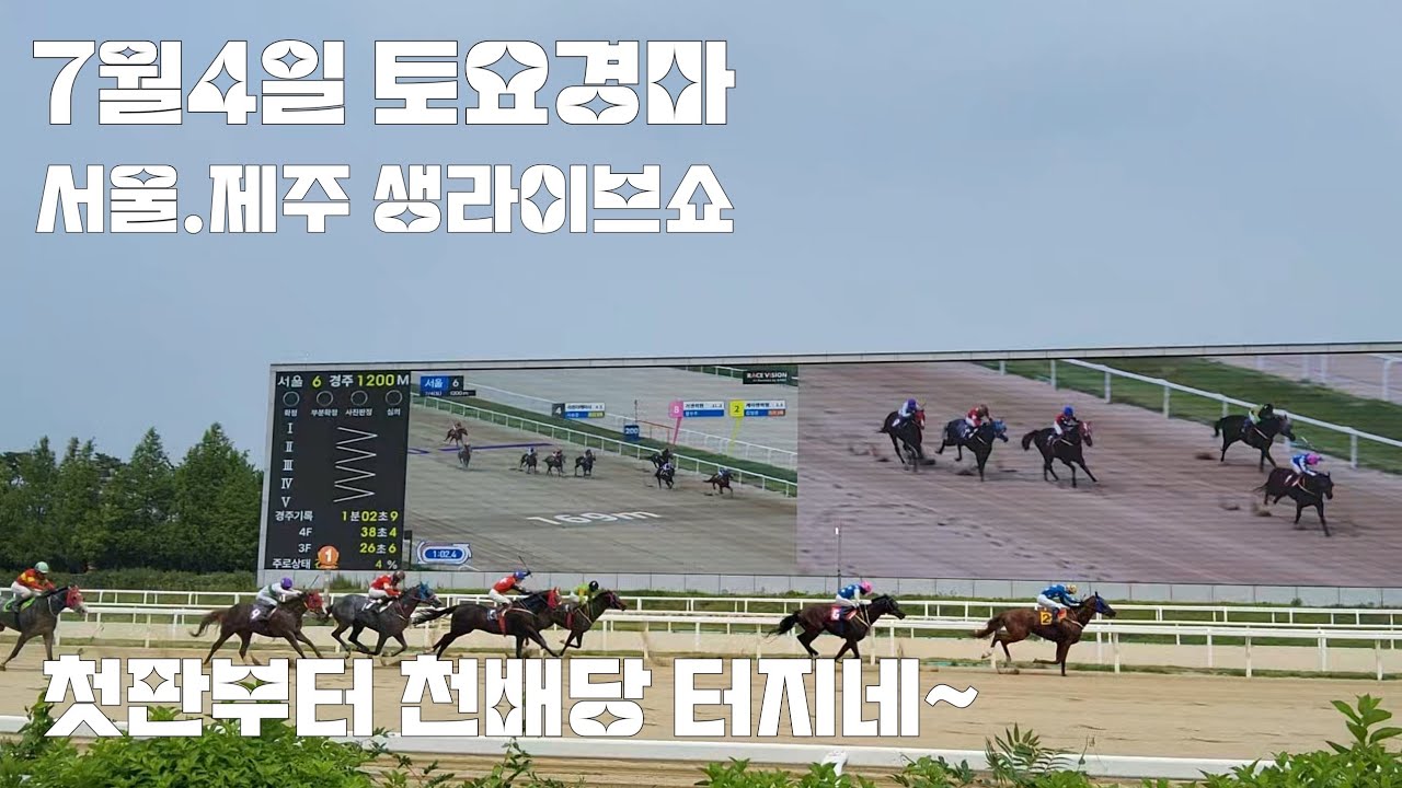 토요경마 최고배당 삼쌍승식 6994.5배